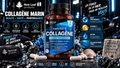 Collagène Marin Pur de Type 1, Peptides de Collagène